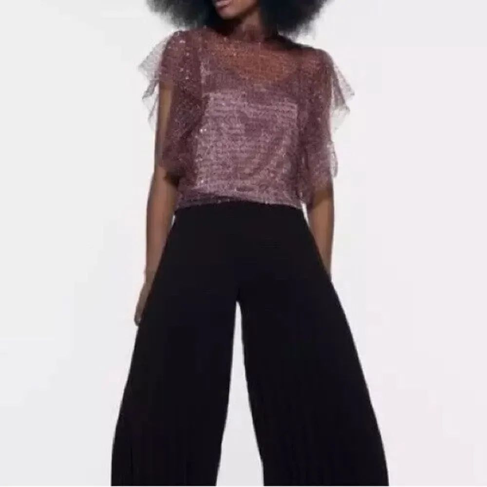 Zara Angel Ruffle Sequin Sheer/Mesh Dusty Pink Top. Sz M